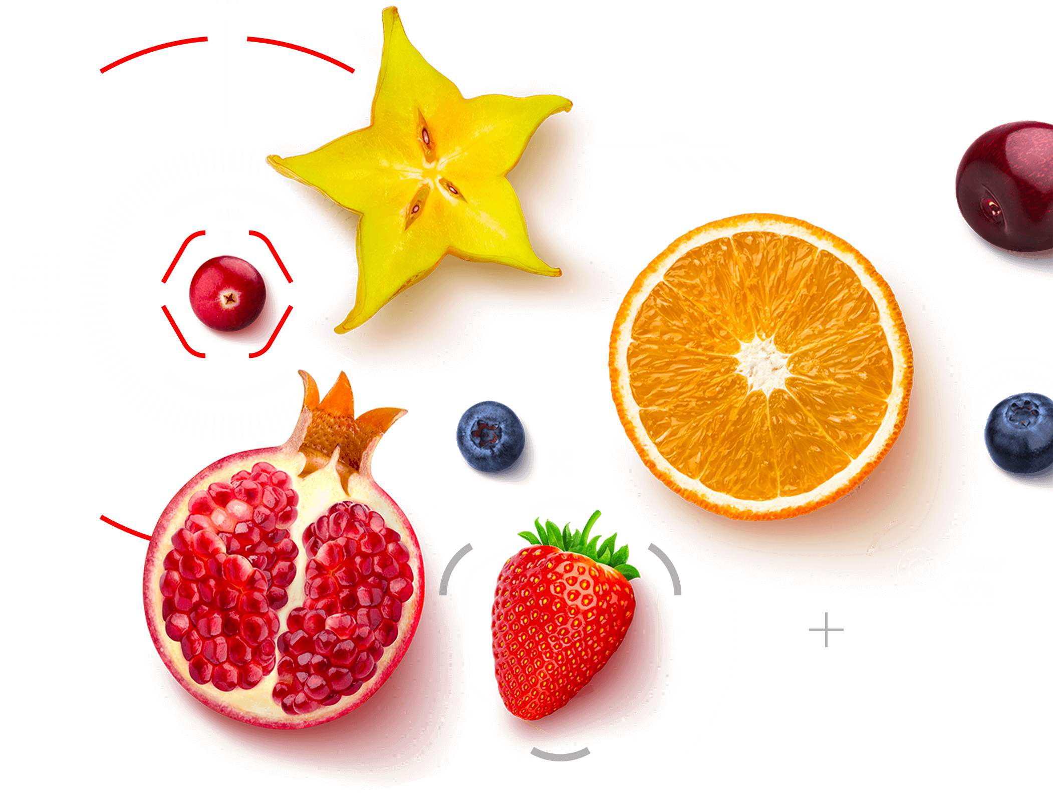 fruits_top_v2